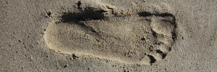 A sandy footprint on a beach