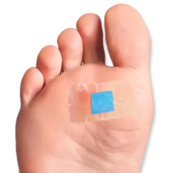 Sudometrics mixed result