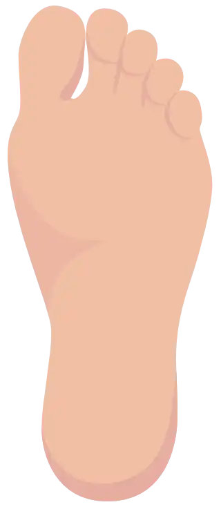 Grade 0 – The skin is intact (vertical foot)